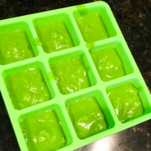 homemade baby food storage