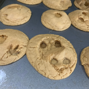 Dinosaur Fossil Cookies