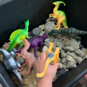 Dinosaur Sensory Bin