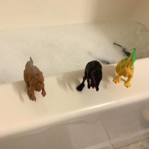 dino bath