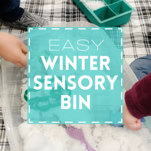 Winter sensory bin